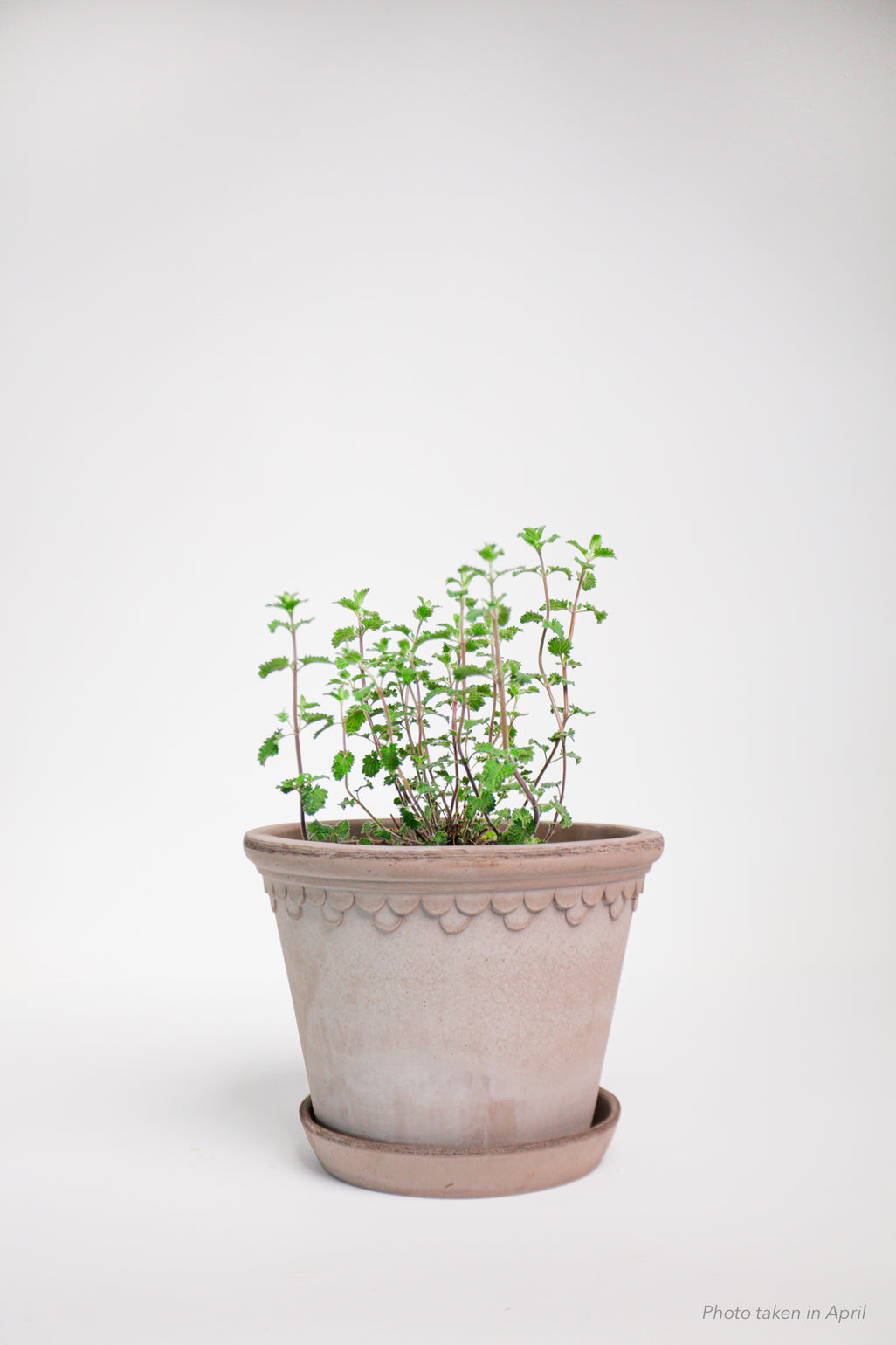 products/SotoProductShootLowQ-2024.jpg
